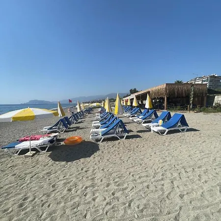 Lejlighed Sea ​​view 15
